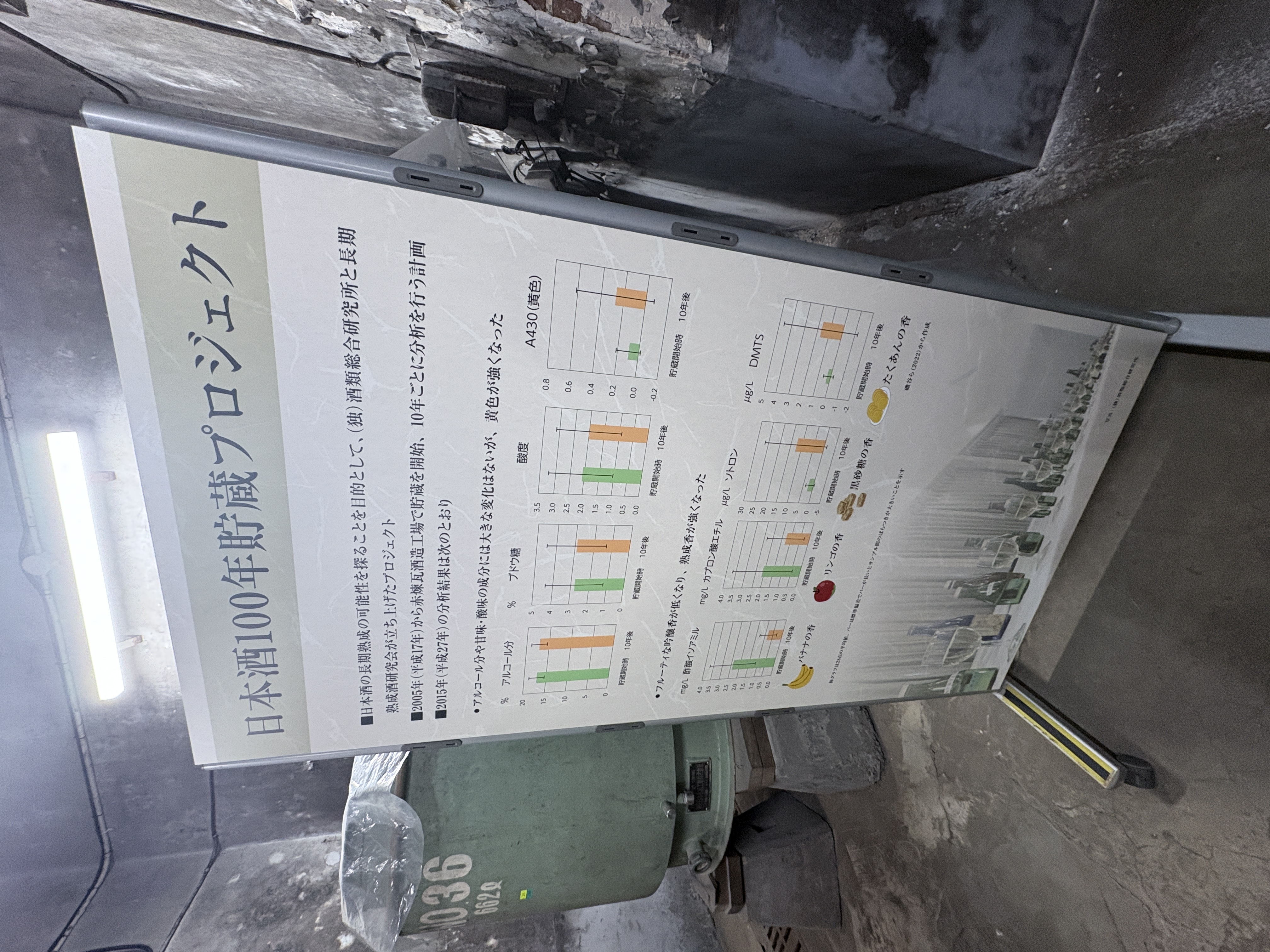 100年プロジェクトの案内